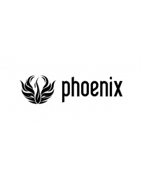 Phoenix 3ds Max
