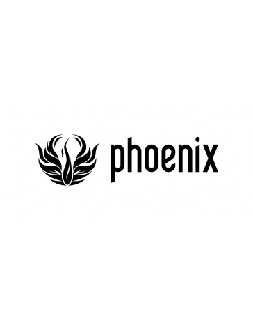 Phoenix 3ds Max